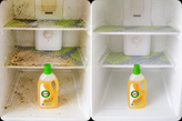 ضدعفونی و پاککننده ۴ در ۱ ماشین لباسشویی بیز (Lynx Healthy Home
