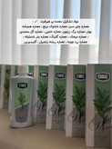 🌿✨ تونیک تقویتکننده و ضد ریزش مو هیر فرند BIZ | مراقبت تخصصی از موهای ضعیف و کمپشت ✨🌿