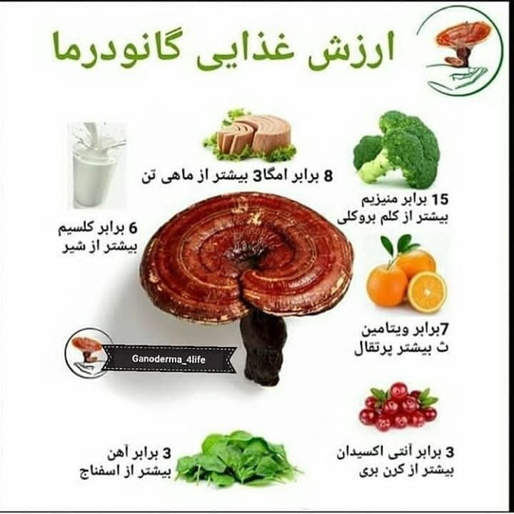 پک لاغری /پک پاکسازی. بدن